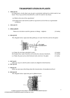 Transport in Plants (1).docx